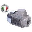 Трехфазные асинхронные электродвигатели INNOVARI (Италия)
