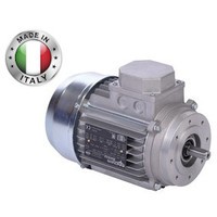 Трехфазные асинхронные электродвигатели INNOVARI (Италия)