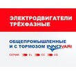 Электродвигатели асинхронные трёхфазные INNOVARI класс E2 рис.1